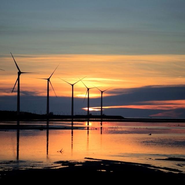 Wind turbines in marshland at sunset